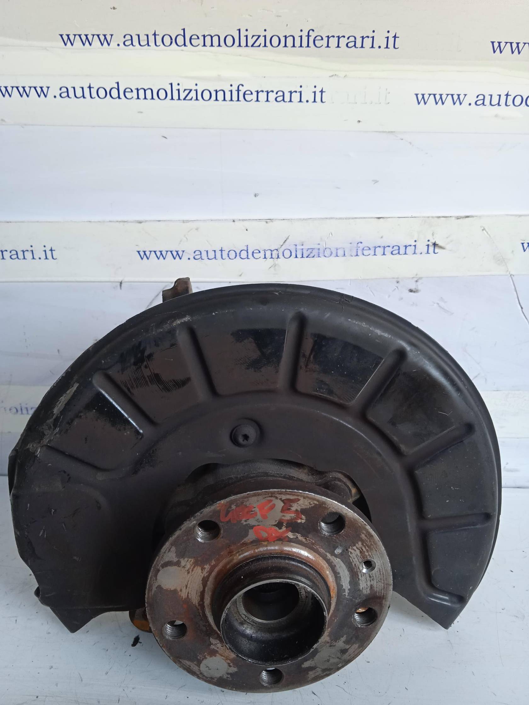 Mozzo ant. dx.